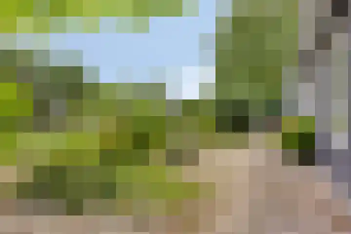 Zuiddijk 10 Dreischor thumbnail 39