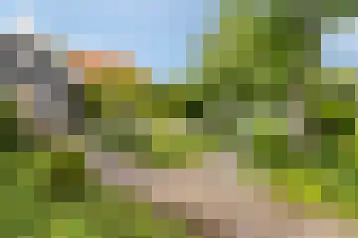 Zuiddijk 10 Dreischor thumbnail 42