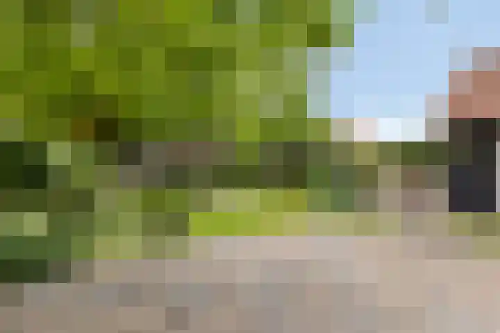 Zuiddijk 10 Dreischor thumbnail 43