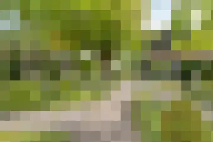 Zuiddijk 10 Dreischor thumbnail 44