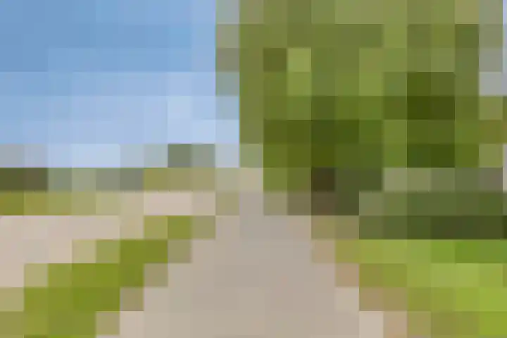 Zuiddijk 10 Dreischor thumbnail 47