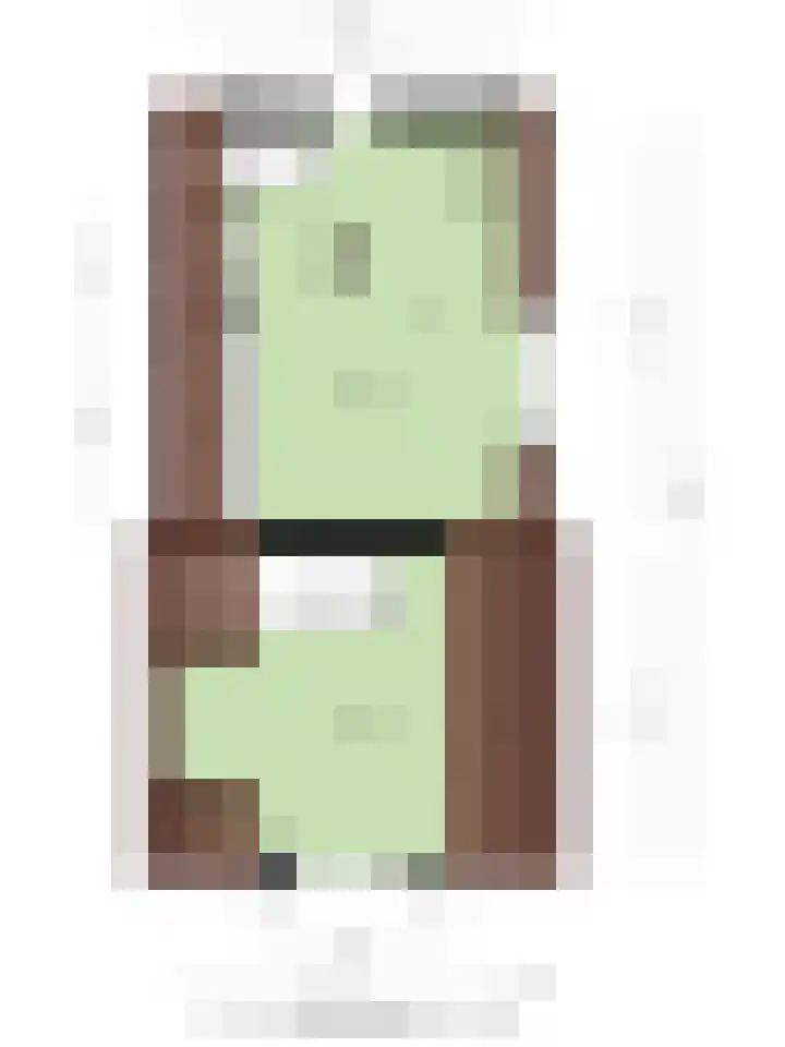 Zuiddijk 10 Dreischor thumbnail 50