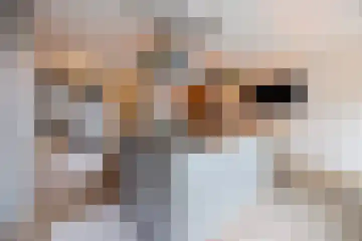 Zuiddijk 10 Dreischor thumbnail 53