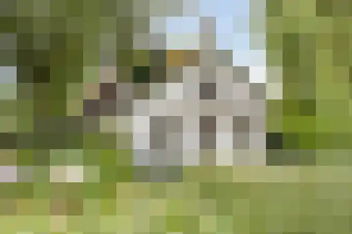 Zuiddijk 10 Dreischor thumbnail 54