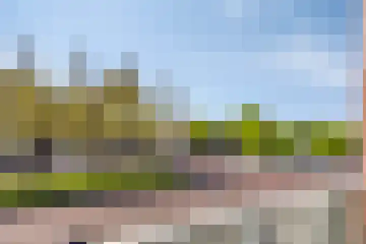 Zuiddijk 10 Dreischor thumbnail 7