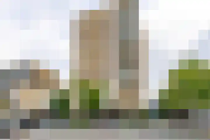 Zuiddijk 10 Dreischor thumbnail 9