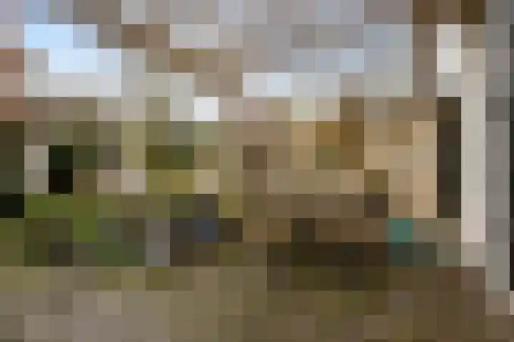 Zuiddijk 42 Maassluis thumbnail 28