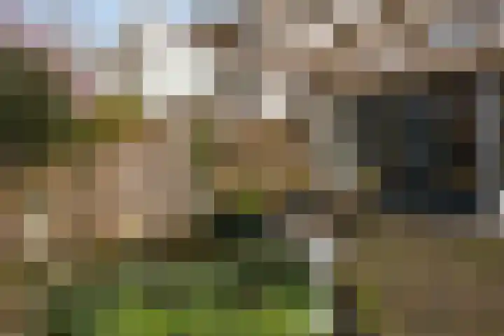 Zuiddijk 42 Maassluis thumbnail 31