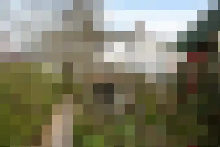 Zuiddijk 42 Maassluis thumbnail 32