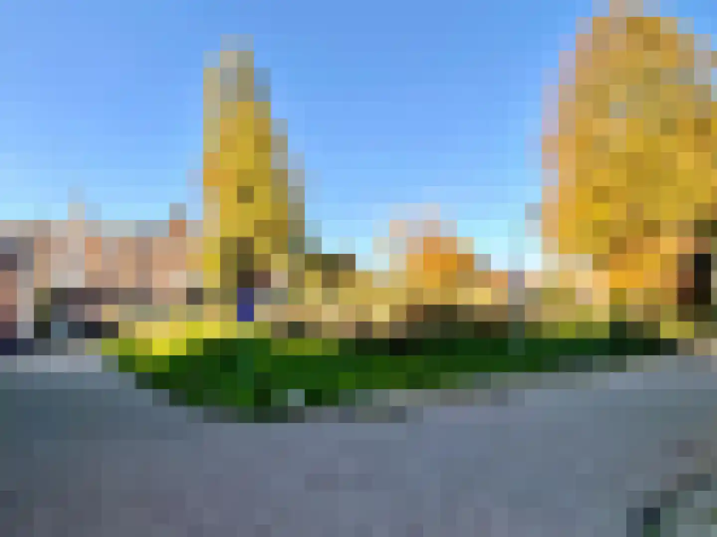 Zuiddijk 47 Zaandam thumbnail 9