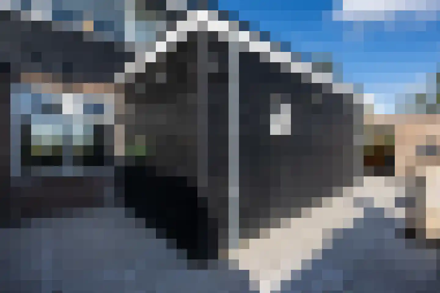 Zuiddijk 49 Oude-Tonge thumbnail 31