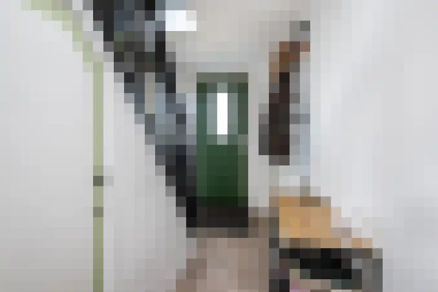 Zuiddijk 49 Oude-Tonge thumbnail 4
