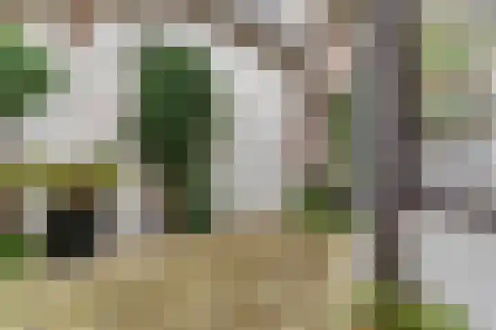 Zuiddijk 5 Maassluis thumbnail 34