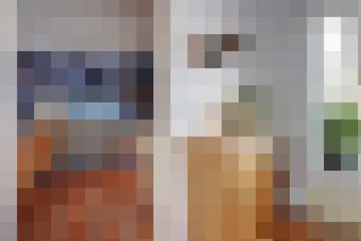 Zuiddijk 9 Dreischor thumbnail 15