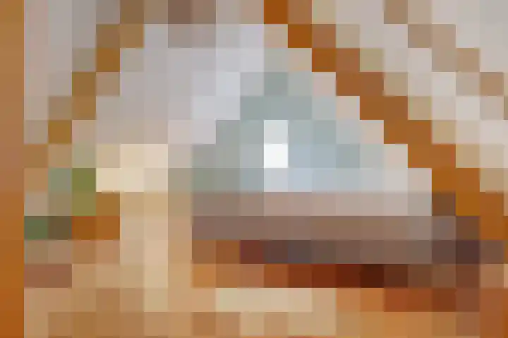 Zuiddijk 9 Dreischor thumbnail 30