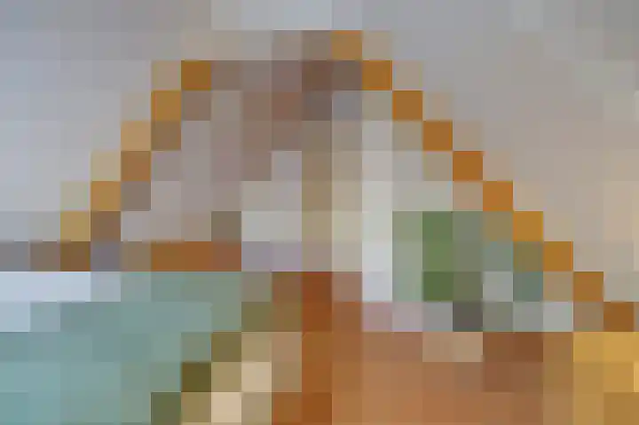 Zuiddijk 9 Dreischor thumbnail 31