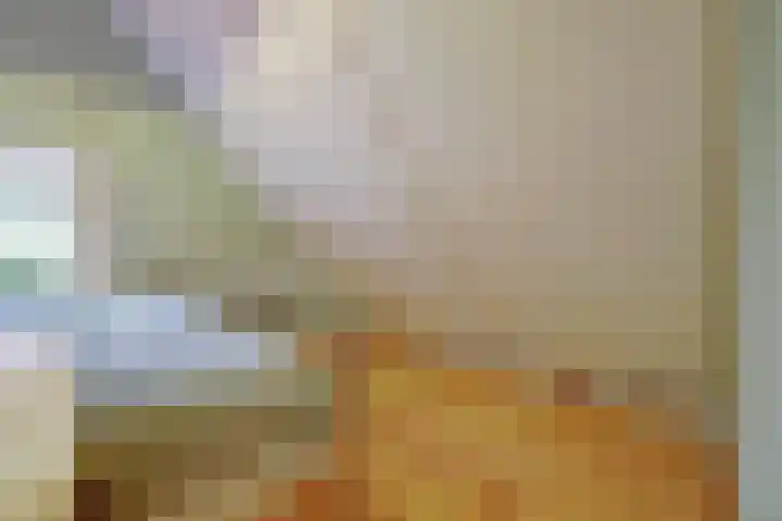 Zuiddijk 9 Dreischor thumbnail 32