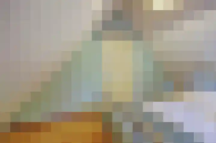 Zuiddijk 9 Dreischor thumbnail 33