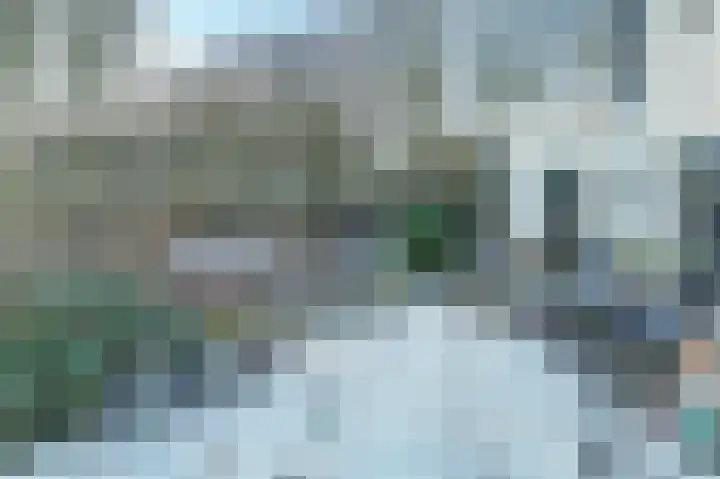 Zuiddijk 9 Dreischor thumbnail 37