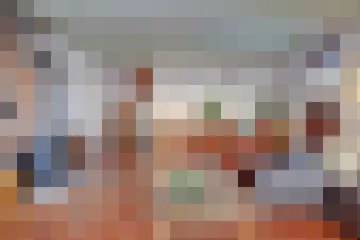 Zuiddijk 9 Dreischor thumbnail 6