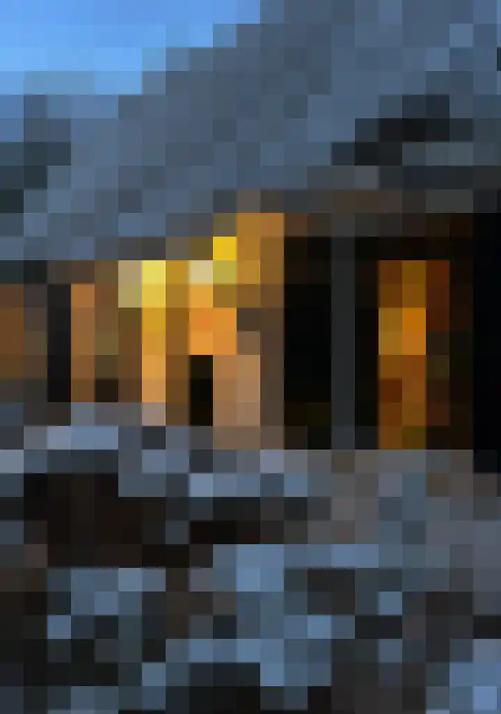 Zuiddijk 9 Dreischor thumbnail 63