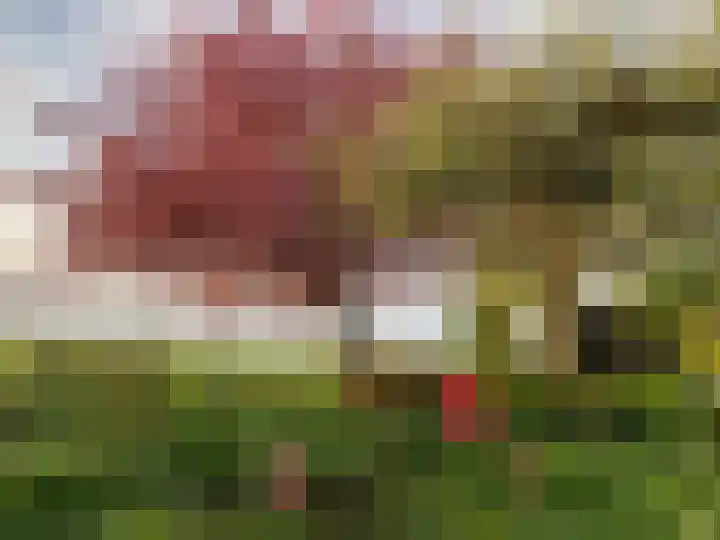 Zuiddijk 9 Dreischor thumbnail 66