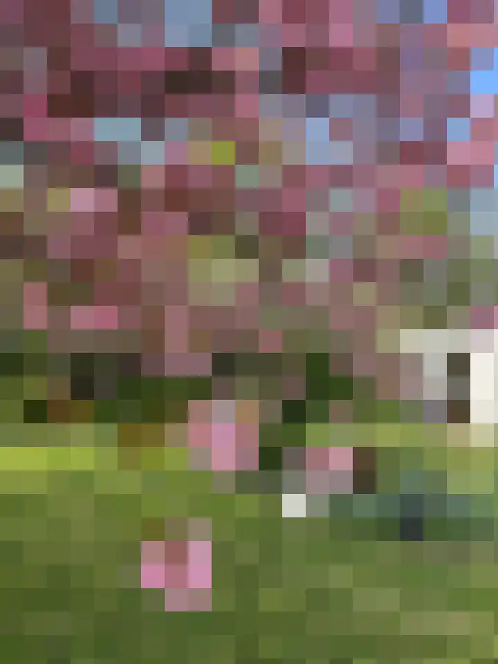 Zuiddijk 9 Dreischor thumbnail 68