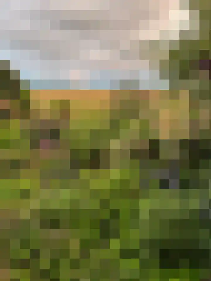 Zuiddijk 9 Dreischor thumbnail 70