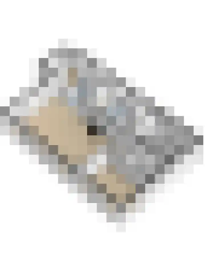 Zuiddijk 9 Dreischor thumbnail 76