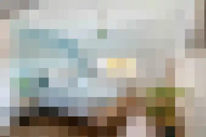 Zuiddijk 9 Oude-Tonge thumbnail 19