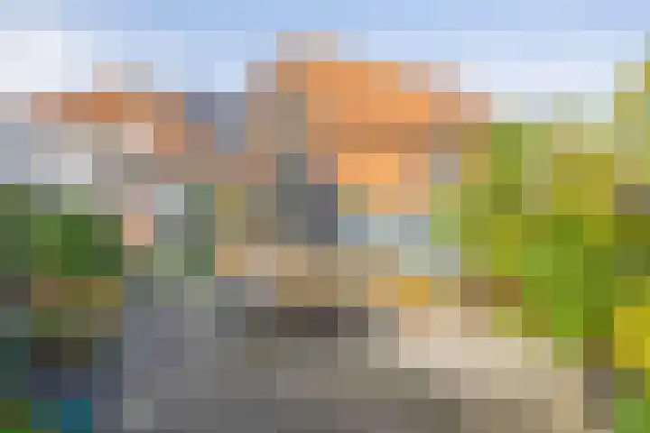 Zuiddijk 9 Oude-Tonge thumbnail 22
