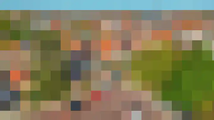 Zuiddijk 9 Oude-Tonge thumbnail 31