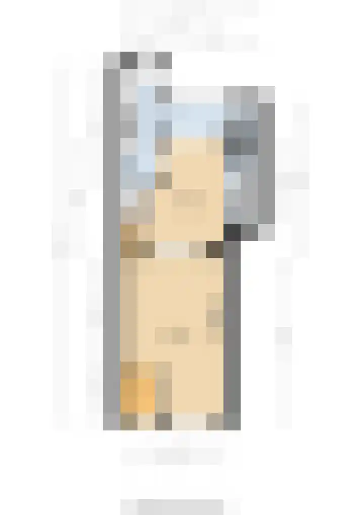 Zuiddijk 9 Oude-Tonge thumbnail 32
