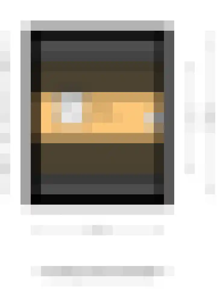 Zuiddijk 9 Oude-Tonge thumbnail 34