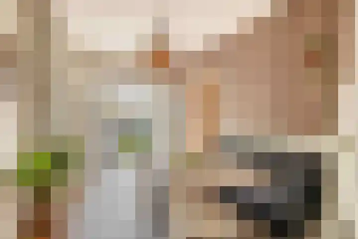 Zuiddijk 9 Oude-Tonge thumbnail 4
