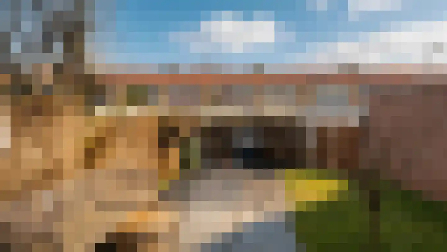 Zuiddijkstraat 62 Sluis thumbnail 34
