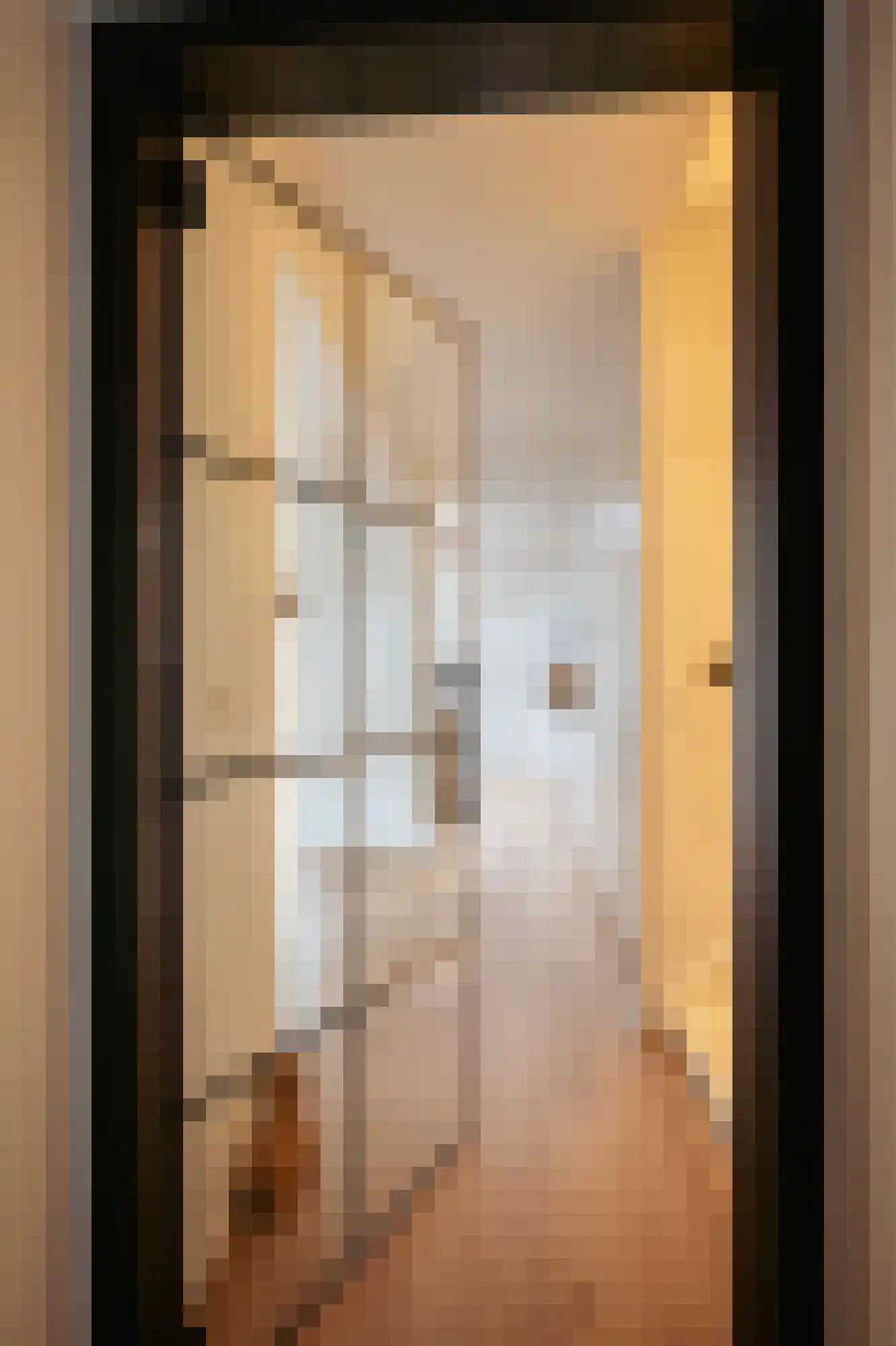 Zuiddijkstraat 62 Sluis thumbnail 7