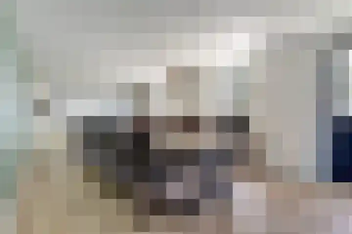 Zuiddijkweg 4 Dreischor thumbnail 23