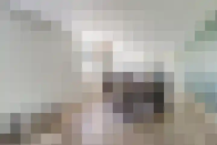 Zuiddijkweg 4 Dreischor thumbnail 24