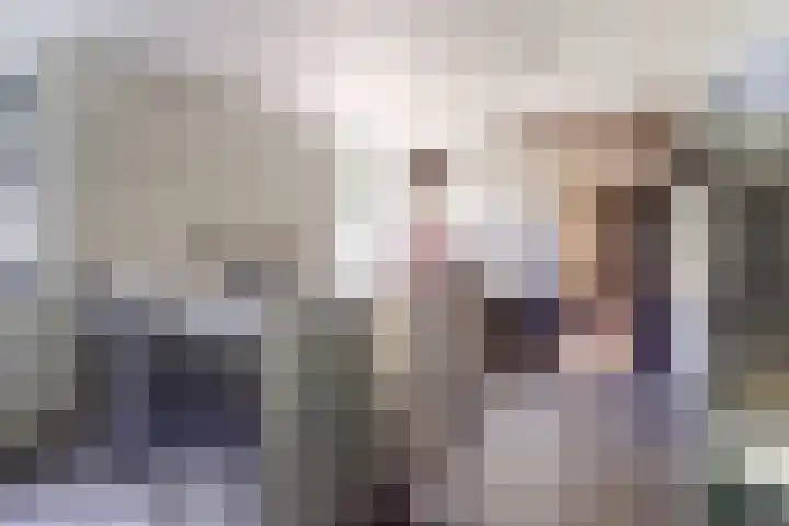 Zuiddijkweg 4 Dreischor thumbnail 25