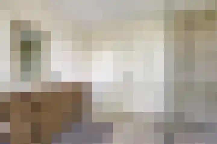 Zuiddijkweg 4 Dreischor thumbnail 30