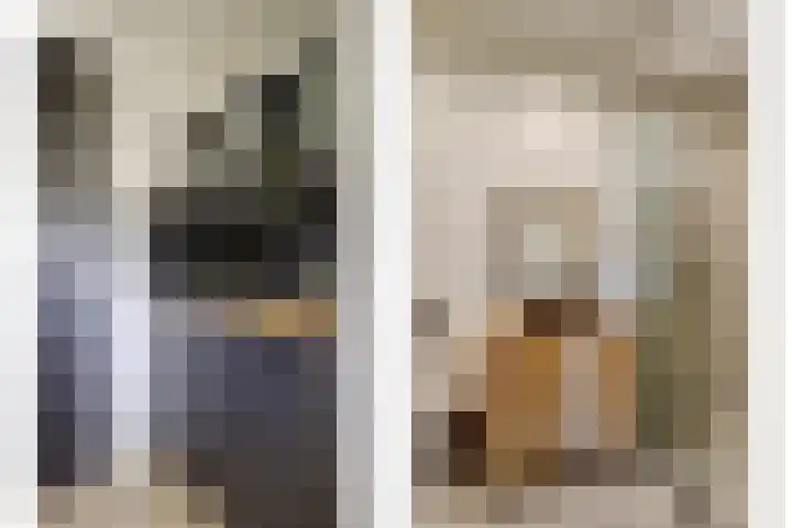 Zuiddijkweg 4 Dreischor thumbnail 33