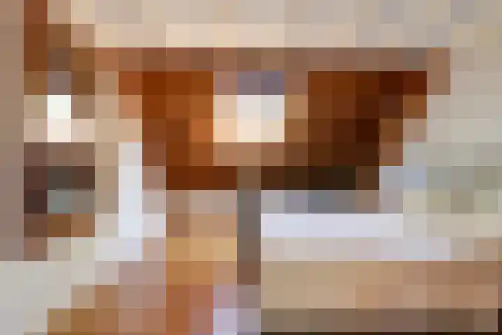 Zuiddijkweg 4 Dreischor thumbnail 36