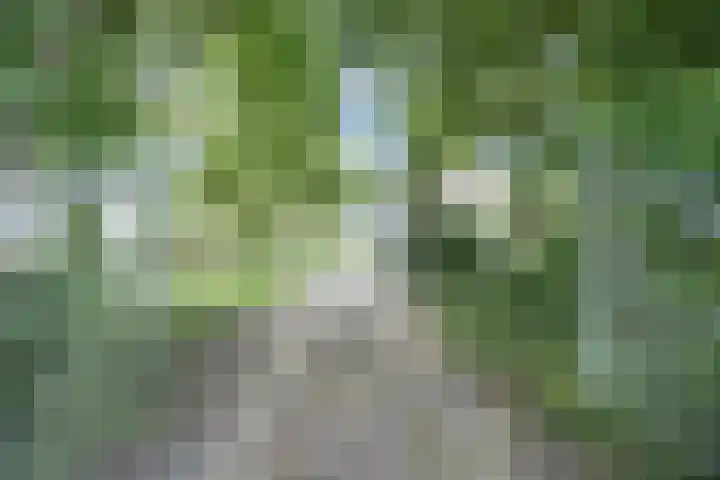 Zuiddijkweg 4 Dreischor thumbnail 4