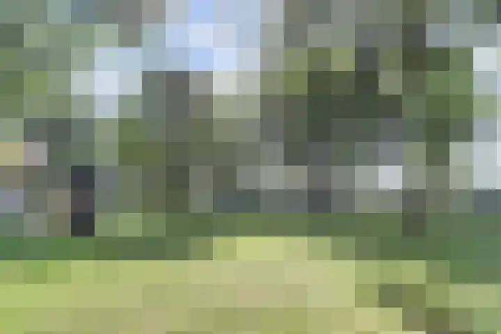 Zuiddijkweg 4 Dreischor thumbnail 45