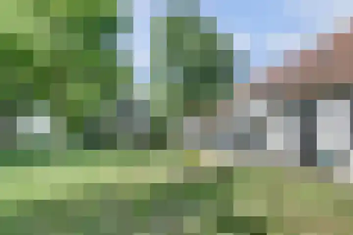 Zuiddijkweg 4 Dreischor thumbnail 47