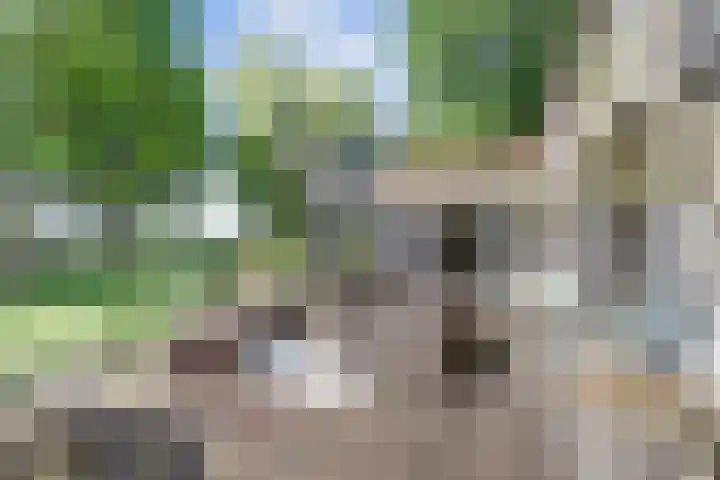 Zuiddijkweg 4 Dreischor thumbnail 48