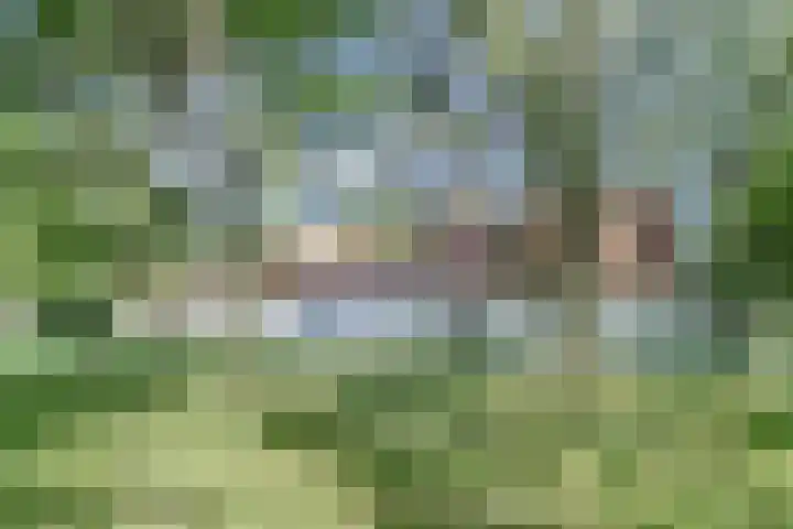 Zuiddijkweg 4 Dreischor thumbnail 51