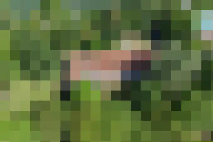 Zuiddijkweg 4 Dreischor thumbnail 52