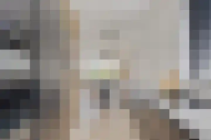 Zuideind 9 Made thumbnail 11